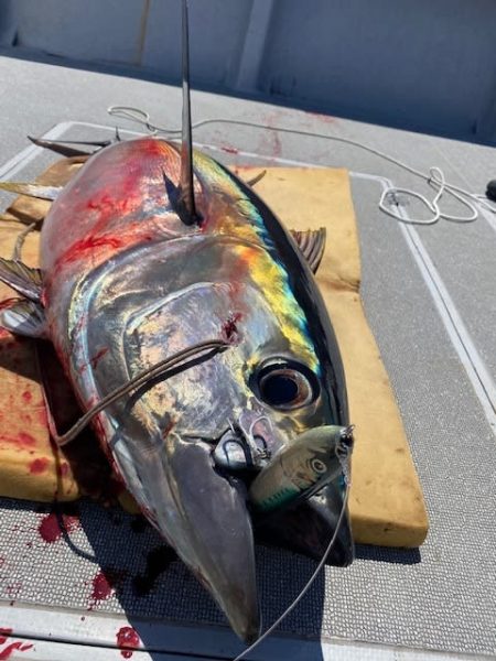 へいみつ丸 釣果