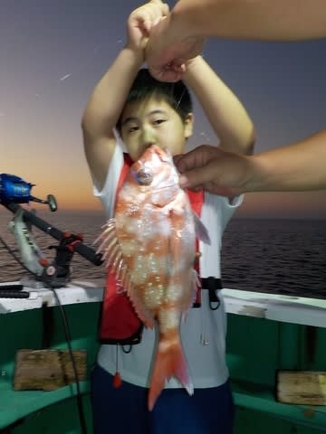 第二むつ漁丸 釣果