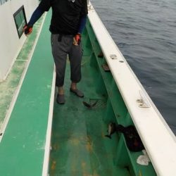 第二むつ漁丸 釣果