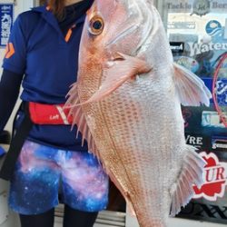 遊漁船 ニライカナイ 釣果