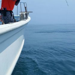 第五慶門丸 釣果