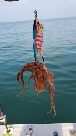 遊漁船 ニライカナイ 釣果