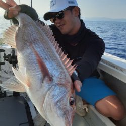 海峰 釣果