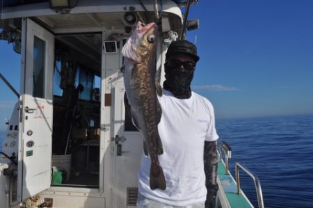八海丸 釣果