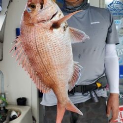 遊漁船　ニライカナイ 釣果