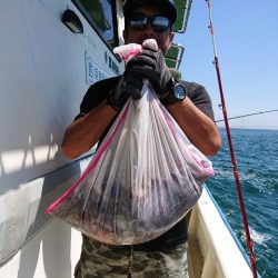 たかみ丸 釣果