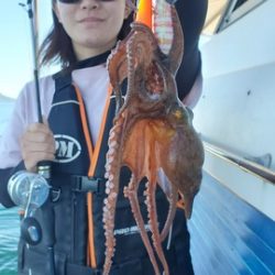 遊漁船　ニライカナイ 釣果