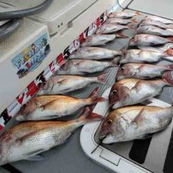 遊漁船 セトマリン 釣果