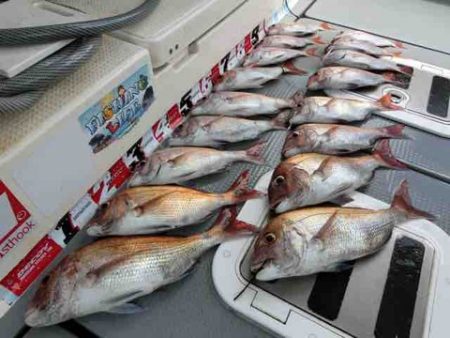 遊漁船 セトマリン 釣果