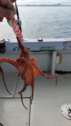 遊漁船 ニライカナイ 釣果