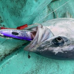 広進丸 釣果