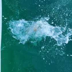 遊漁船 ニライカナイ 釣果