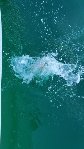 遊漁船 ニライカナイ 釣果