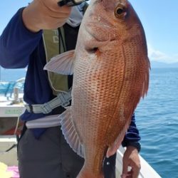 遊漁船　ニライカナイ 釣果
