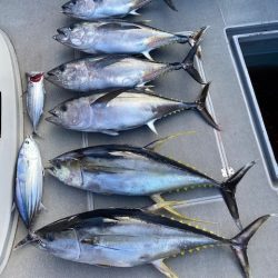 へいみつ丸 釣果