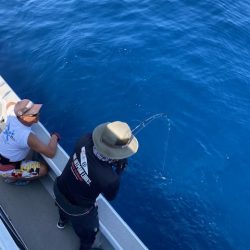 へいみつ丸 釣果