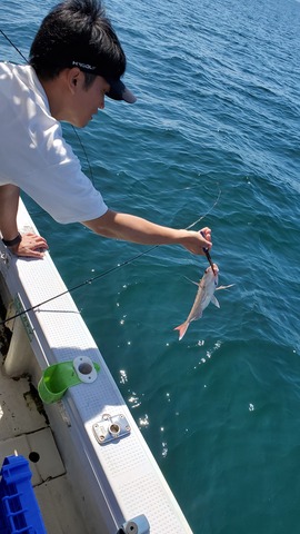 遊漁船　ニライカナイ 釣果