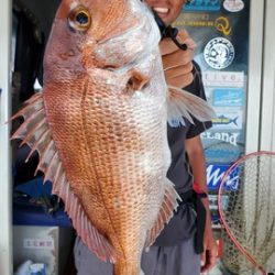 遊漁船 ニライカナイ 釣果