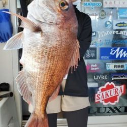 遊漁船　ニライカナイ 釣果