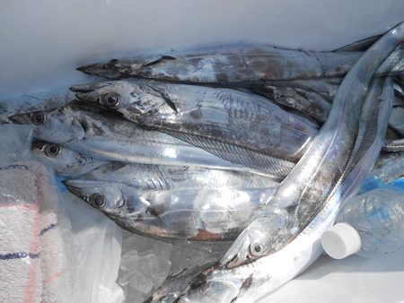 こうゆう丸 釣果