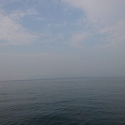 尚人丸 釣果