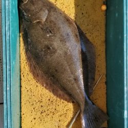 遊漁船 ニライカナイ 釣果