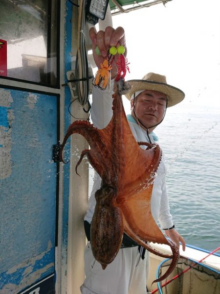 たかみ丸 釣果