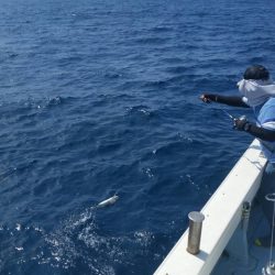 第五慶門丸 釣果