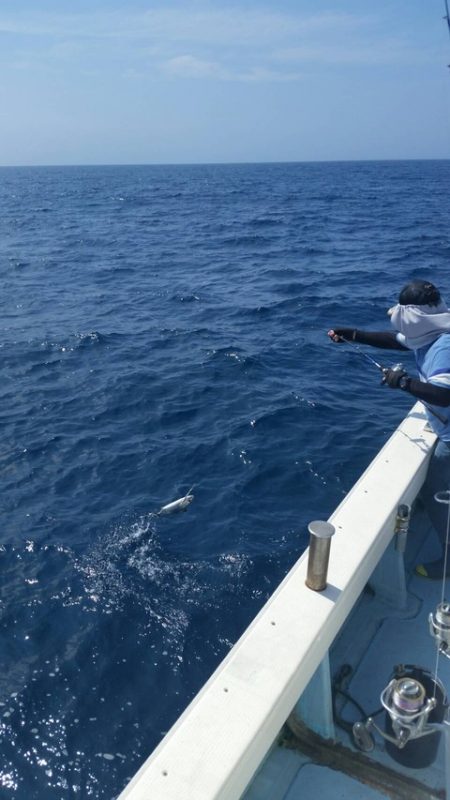 第五慶門丸 釣果