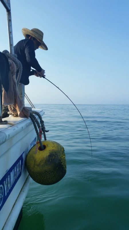 第五慶門丸 釣果