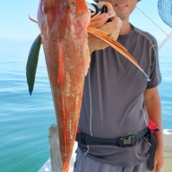 遊漁船 ニライカナイ 釣果