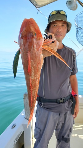 遊漁船 ニライカナイ 釣果