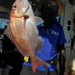 遊漁船　ニライカナイ 釣果