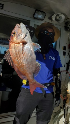遊漁船　ニライカナイ 釣果