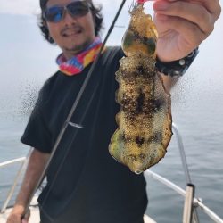 Magic(マジック) 釣果