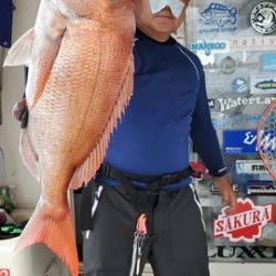 遊漁船 ニライカナイ 釣果