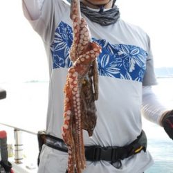 遊漁船　ニライカナイ 釣果