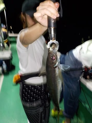 第二むつ漁丸 釣果