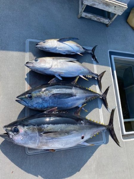 へいみつ丸 釣果