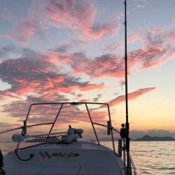 Magic(マジック) 釣果