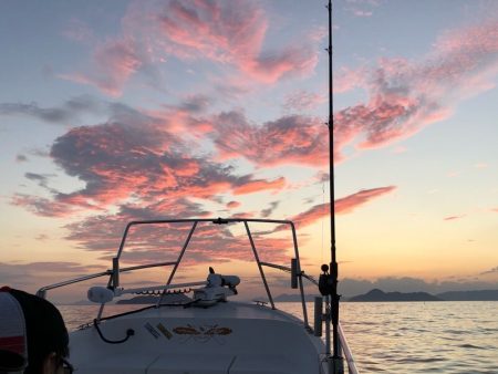 Magic(マジック) 釣果