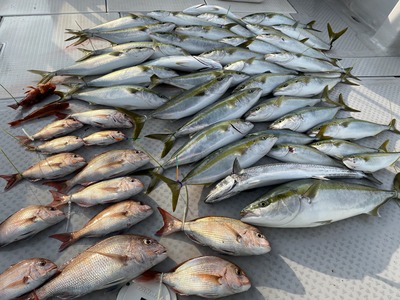 ミタチ丸 釣果