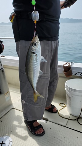 遊漁船 ニライカナイ 釣果