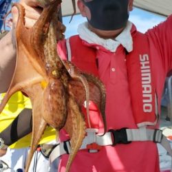 遊漁船 ニライカナイ 釣果