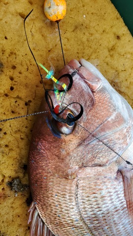 遊漁船 ニライカナイ 釣果