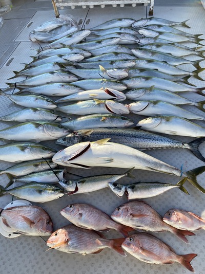 ミタチ丸 釣果