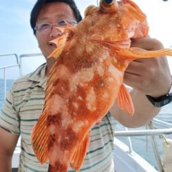 遊漁船 ニライカナイ 釣果