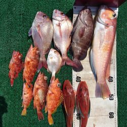 正幸丸 釣果