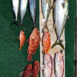 正幸丸 釣果