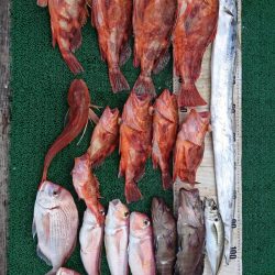 正幸丸 釣果